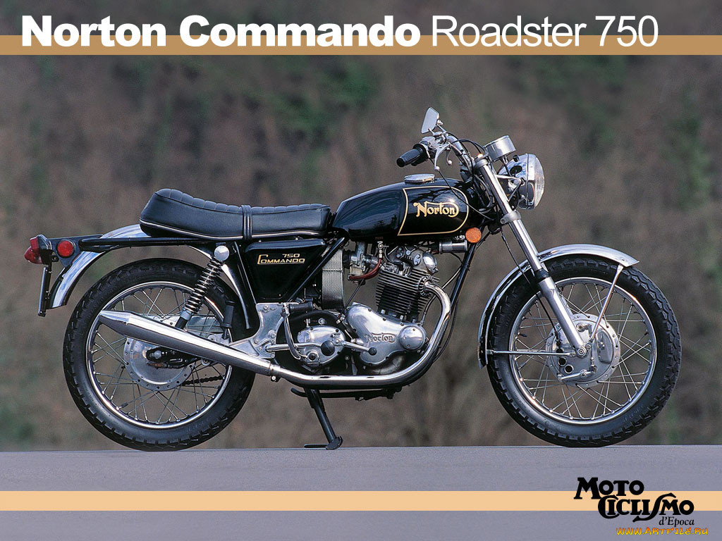 norton, 